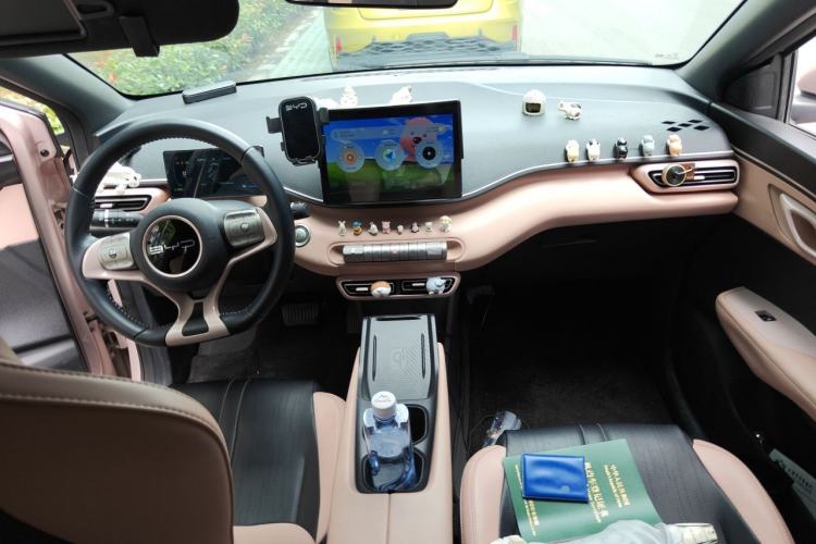 Used BYD Seagull 2023 Free Edition Center Console