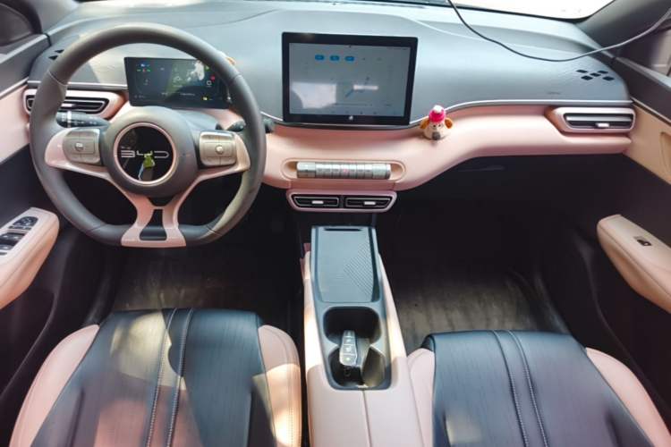Used BYD Seagull 2023 Active Version Center Console