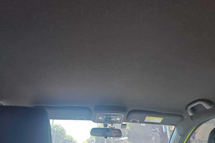Used BYD Seagull 2023 Flying Edition Headliner