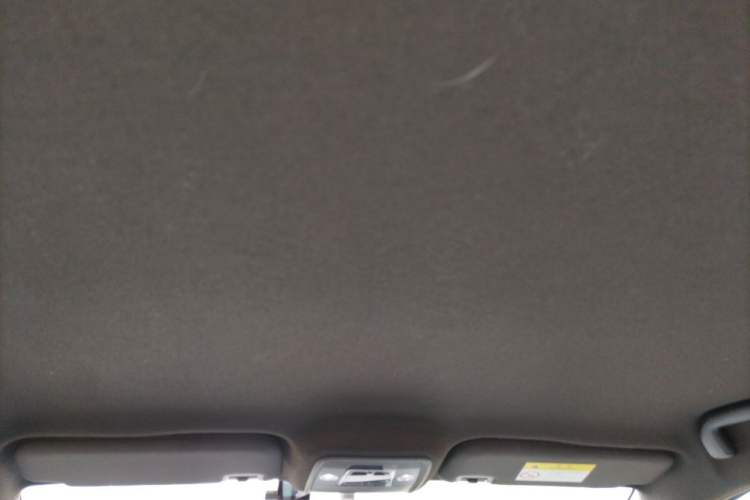 Used BYD Seagull 2023 Free Edition Headliner