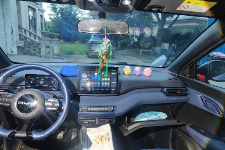 Used BYD Seagull 2023 Free Edition Headliner