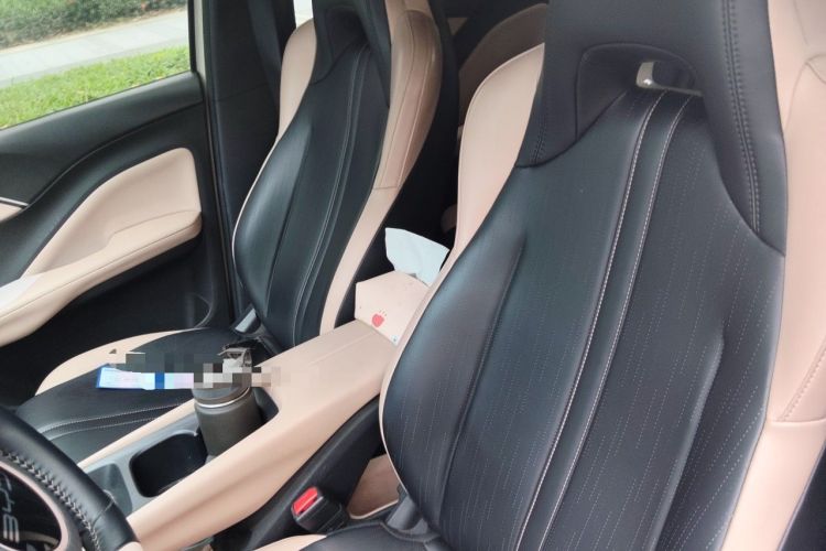 Used BYD Seagull 2023 Flying Edition Left Front Seat