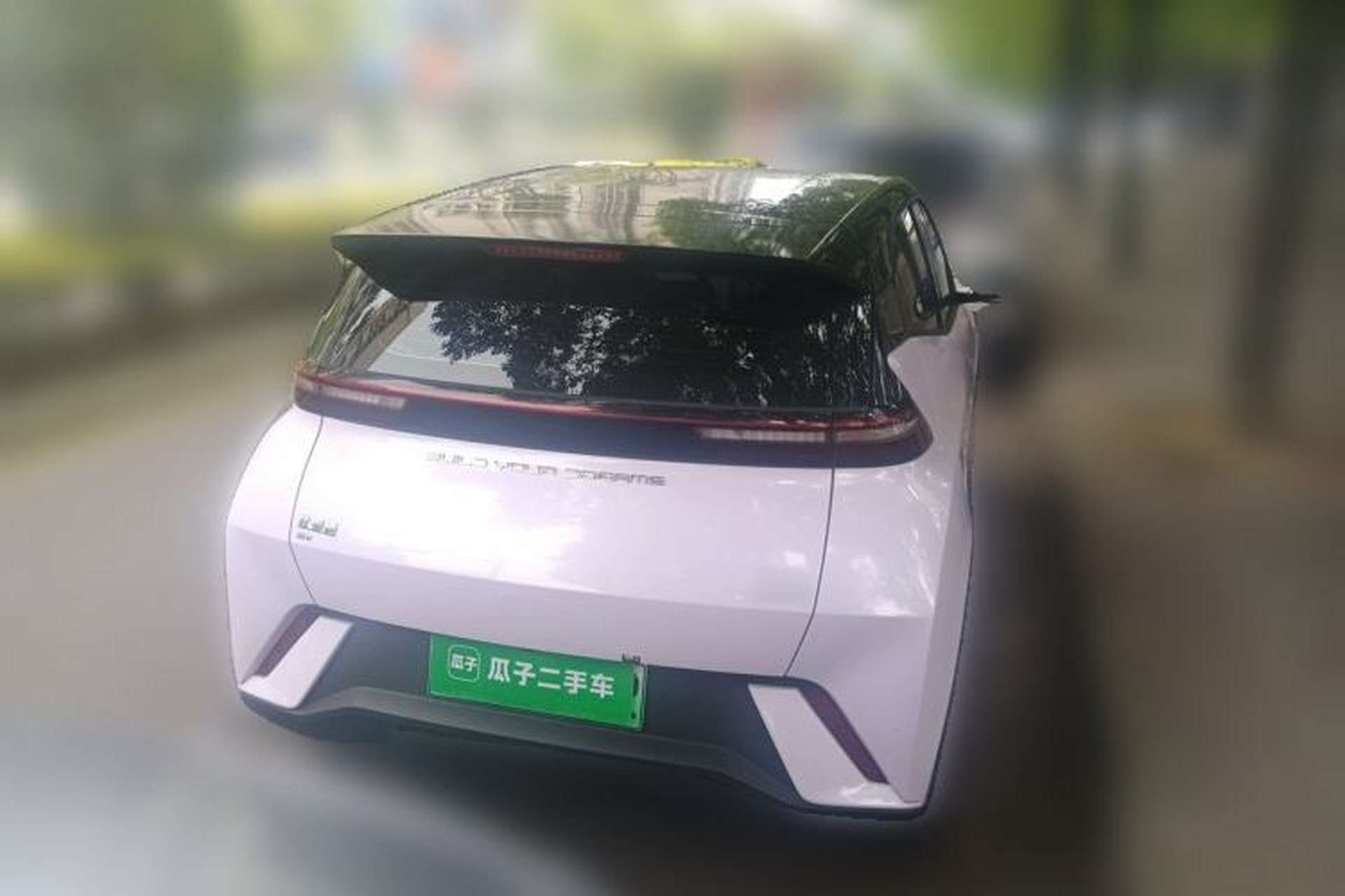 Used BYD Seagull 2023 Free Edition Rear