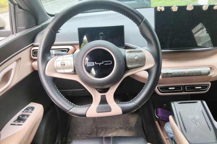 Used BYD Seagull 2023 Flying Edition Steering Wheel