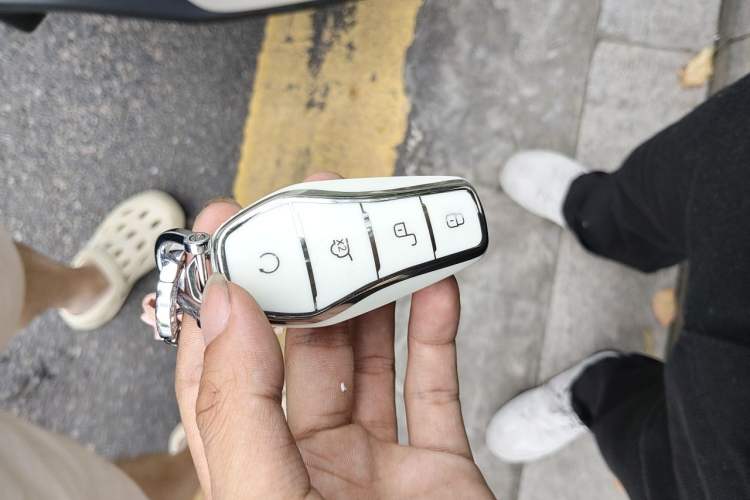 Used BYD Seagull 2023 Flying Edition Vehicle Key