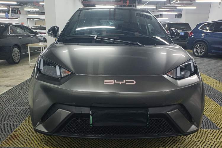 Used BYD Seagull 2023 Free Edition Exterior 1