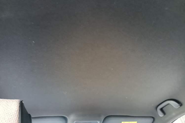 Used BYD Seagull 2023 Free Edition Headliner