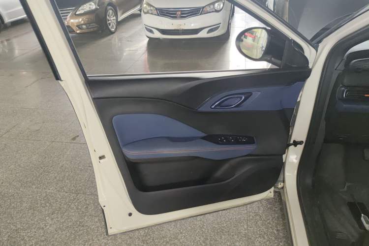 Used BYD Seagull 2023 Free Edition Left Front Door Interior