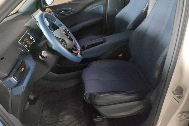 Used BYD Seagull 2023 Free Edition Left Front Seat