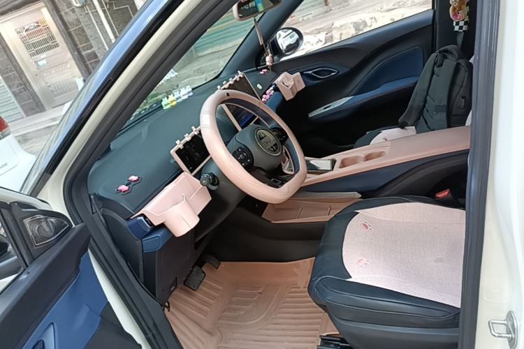 Used BYD Seagull 2023 Free Edition Left Front Seat