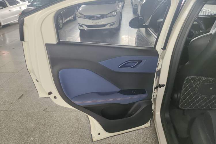 Used BYD Seagull 2023 Free Edition Left Rear Door Interior