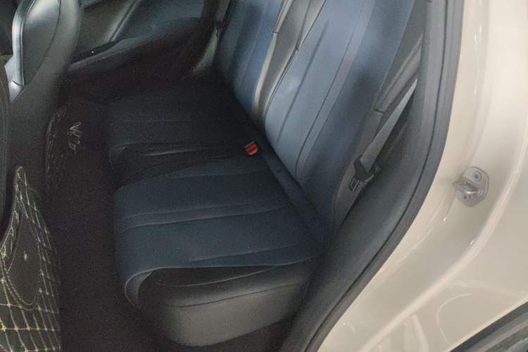 Used BYD Seagull 2023 Free Edition Left Rear Seat