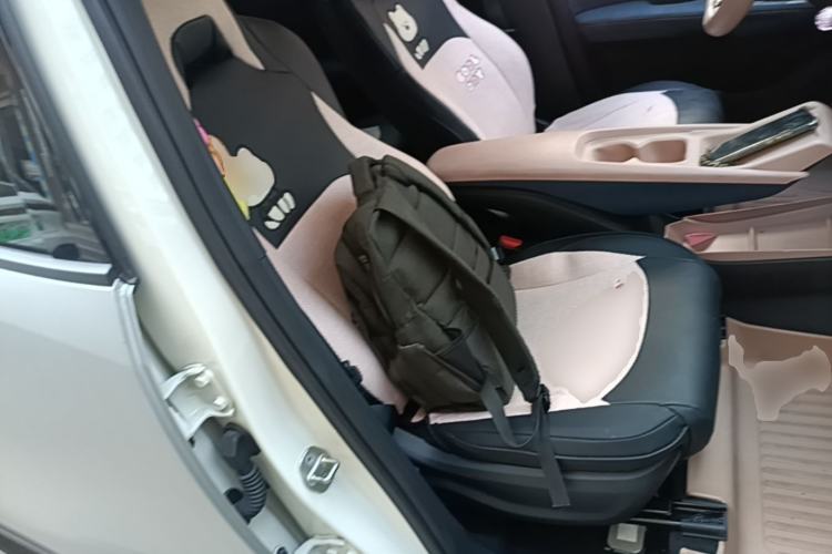 Used BYD Seagull 2023 Free Edition Right Front Seat