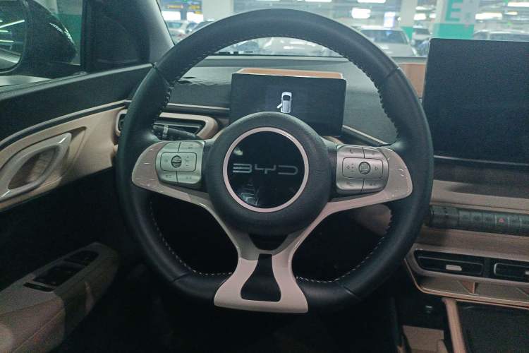 Used BYD Seagull 2023 Free Edition Steering Wheel