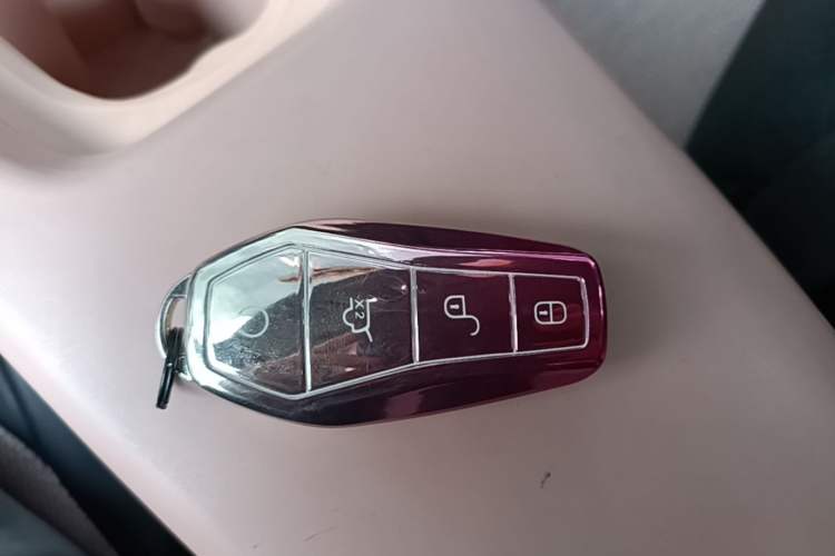 Used BYD Seagull 2023 Free Edition Vehicle Key