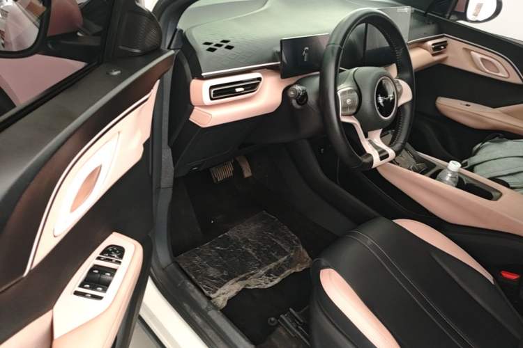 Used BYD Seagull 2023 Free Edition Driver Seat