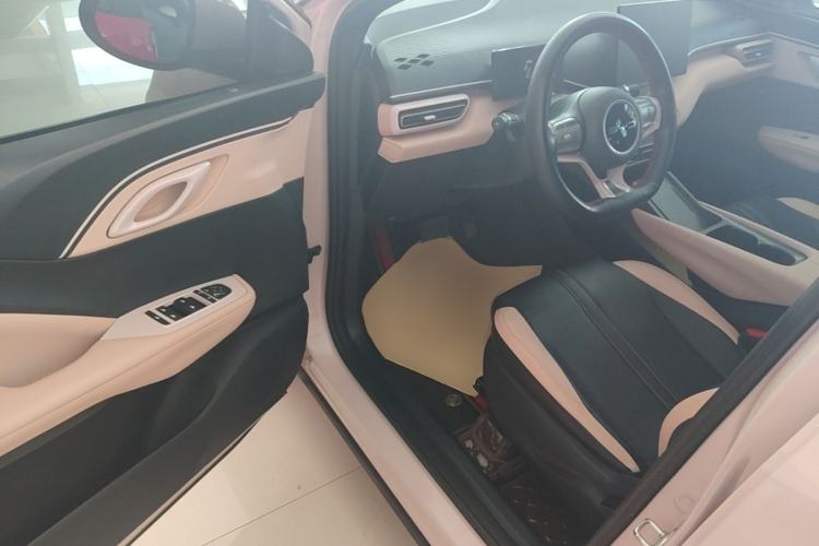 Used BYD Seagull 2023 Free Edition Driver Seat