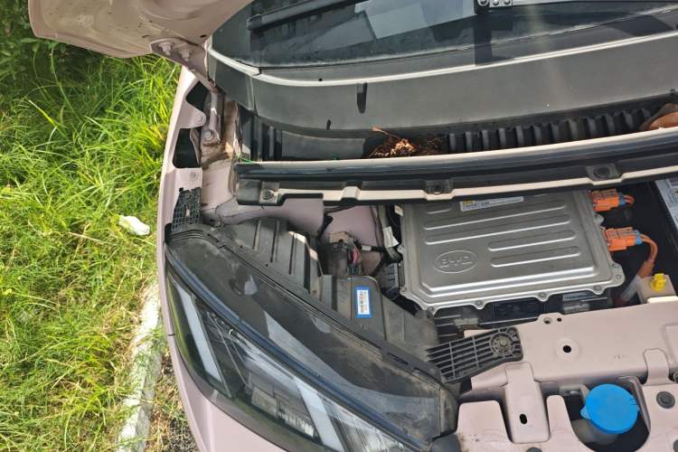 Used BYD Seagull 2023 Active Version Engine Bay Right