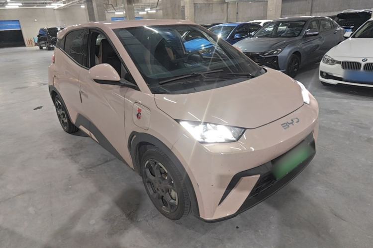 Used BYD Seagull 2023 Free Edition Exterior 1