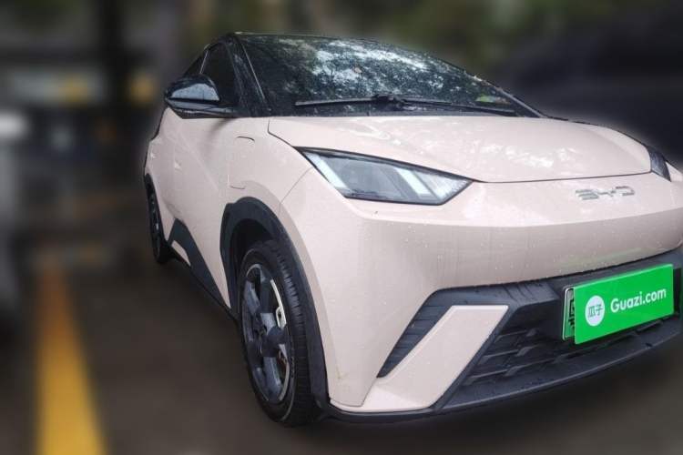 Used BYD Seagull 2023 Free Edition Exterior 2