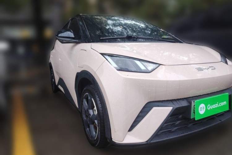 Used BYD Seagull 2023 Free Edition Exterior 4