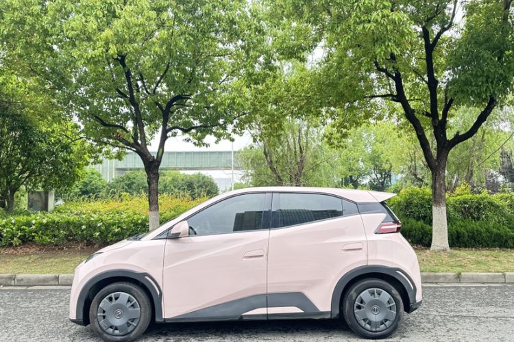 Used BYD Seagull 2023 Free Edition Exterior 4