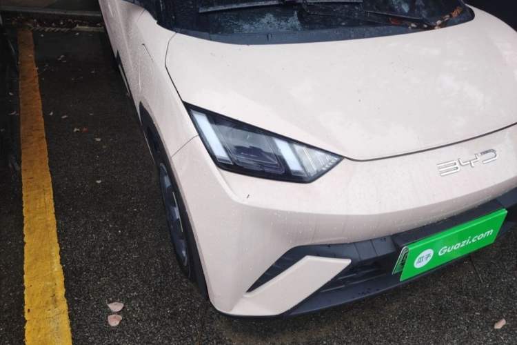 Used BYD Seagull 2023 Free Edition Exterior 4