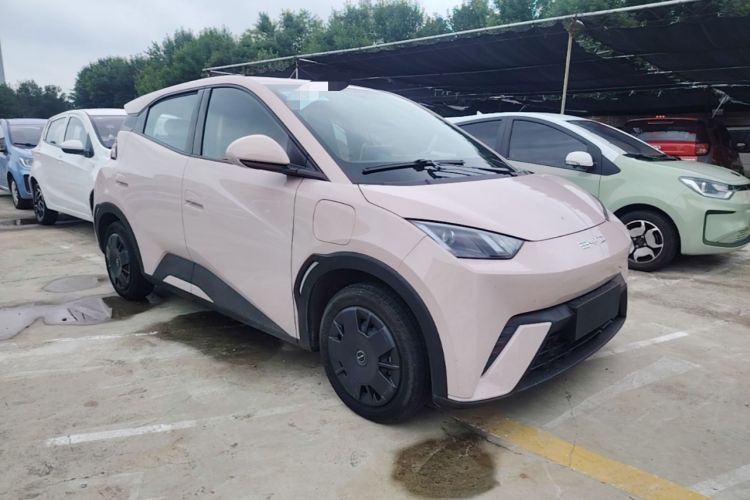 Used BYD Seagull 2023 Active Version Front Right 45 Deg