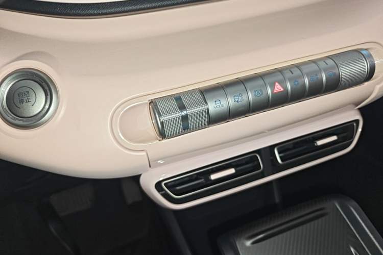 Used BYD Seagull 2023 Flying Edition Gear Lever