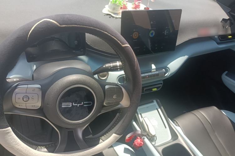 Used BYD Seagull 2023 Active Version Center Console