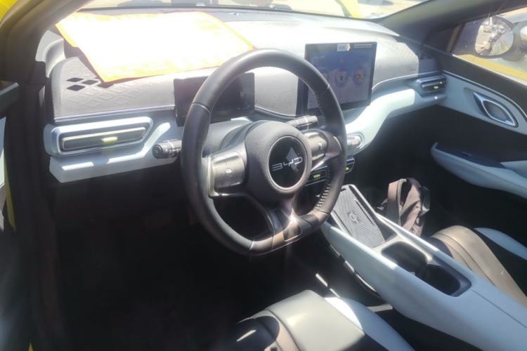 Used BYD Seagull 2023 Flying Edition Center Console