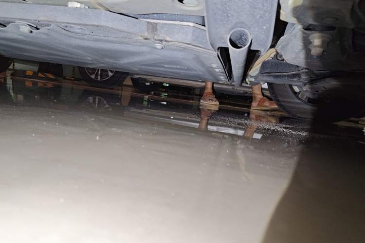 Used BYD Seagull 2023 Free Edition Chassis Front Right