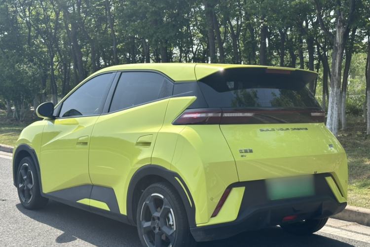 Used BYD Seagull 2023 Flying Edition Exterior 4