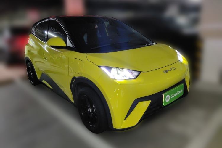 Used BYD Seagull 2023 Active Version Front Right 45 Deg