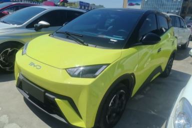 Used BYD Seagull 2023 Flying Edition