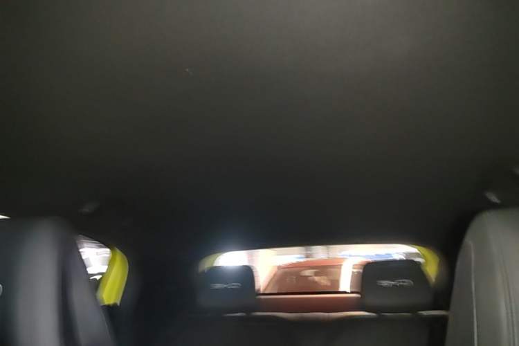 Used BYD Seagull 2023 Flying Edition Headliner