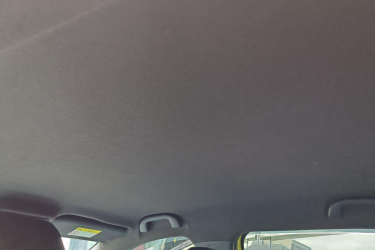 Used BYD Seagull 2023 Free Edition Headliner