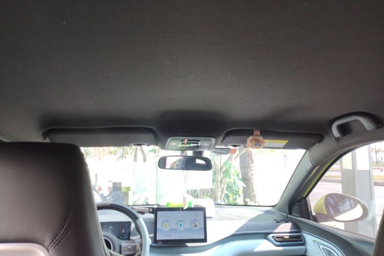 Used BYD Seagull 2023 Flying Edition Headliner
