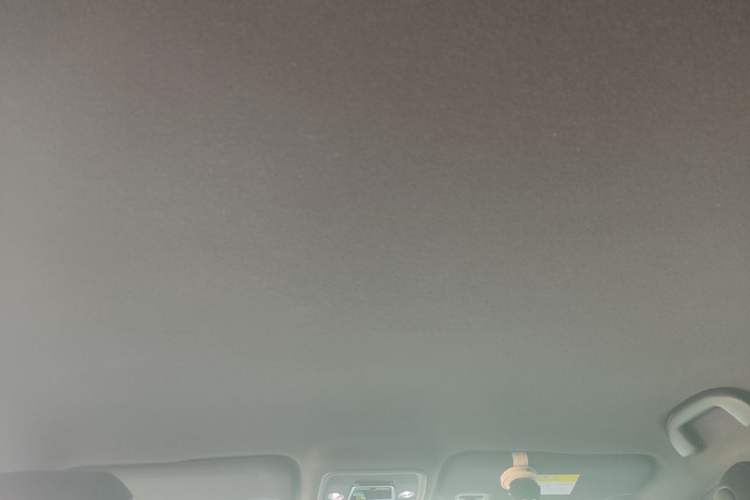 Used BYD Seagull 2023 Free Edition Headliner