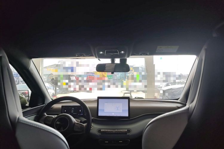 Used BYD Seagull 2023 Flying Edition Headliner