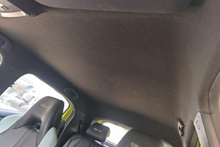 Used BYD Seagull 2023 Free Edition Headliner