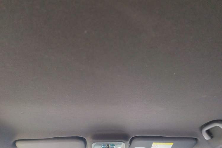 Used BYD Seagull 2023 Free Edition Headliner