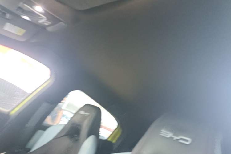 Used BYD Seagull 2023 Free Edition Headliner