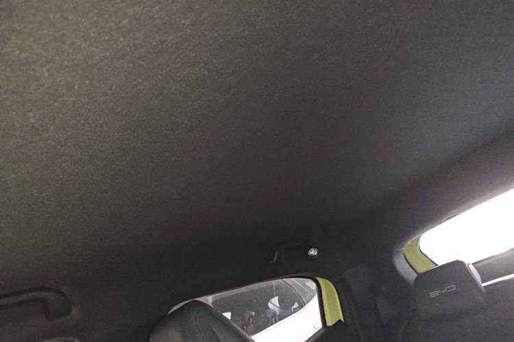 Used BYD Seagull 2023 Free Edition Headliner