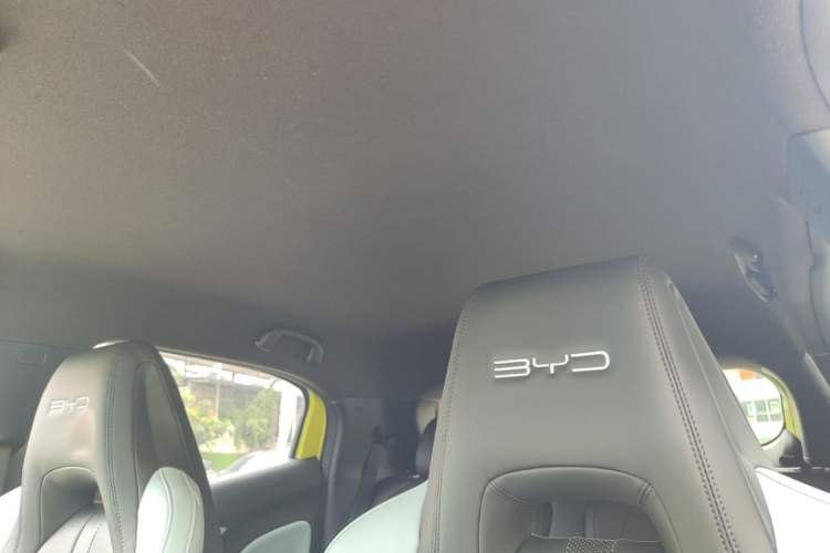 Used BYD Seagull 2023 Flying Edition Headliner