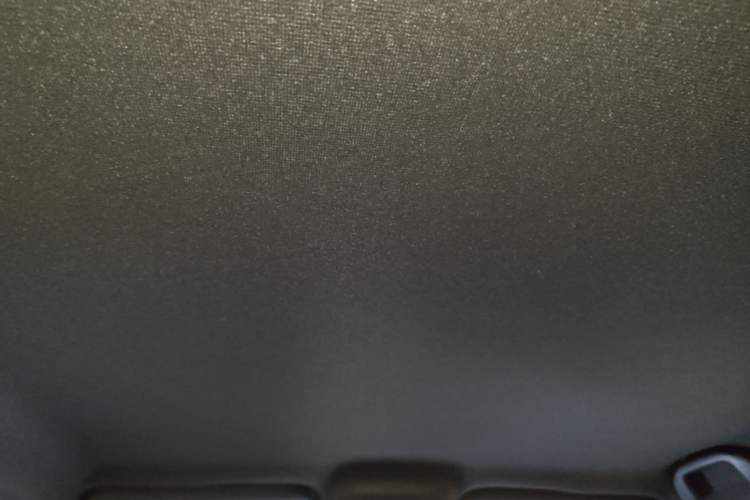 Used BYD Seagull 2023 Free Edition Headliner