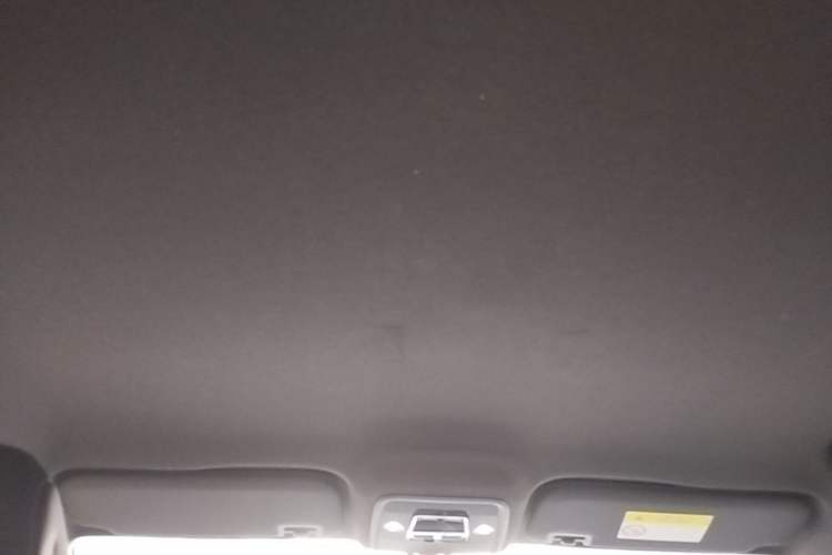 Used BYD Seagull 2023 Free Edition Headliner