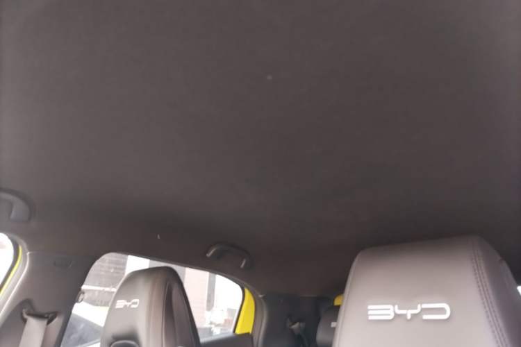 Used BYD Seagull 2023 Flying Edition Headliner