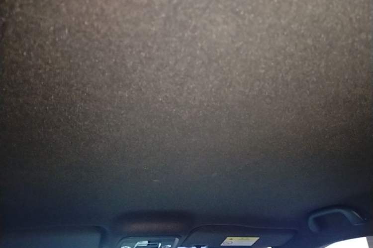 Used BYD Seagull 2023 Flying Edition Headliner