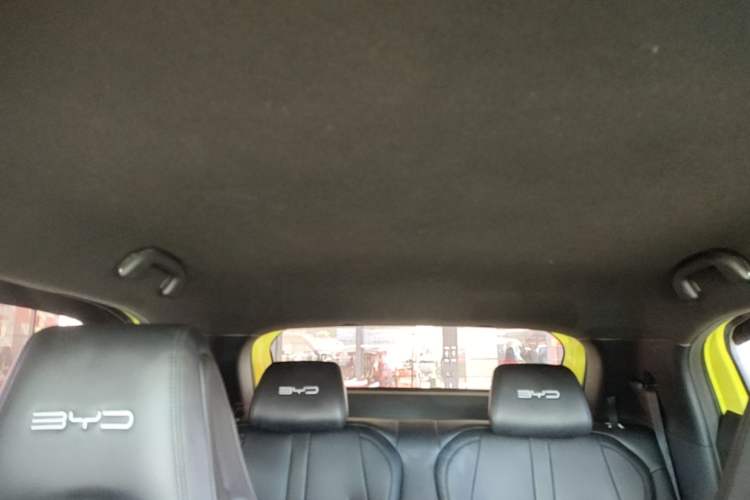 Used BYD Seagull 2023 Flying Edition Headliner